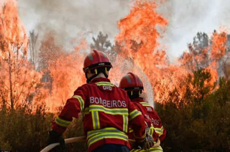 Անտառային խոշորածավալ հրդեհներ են մոլեգնում Կորսիկա կղզում և Պորտուգալիայում