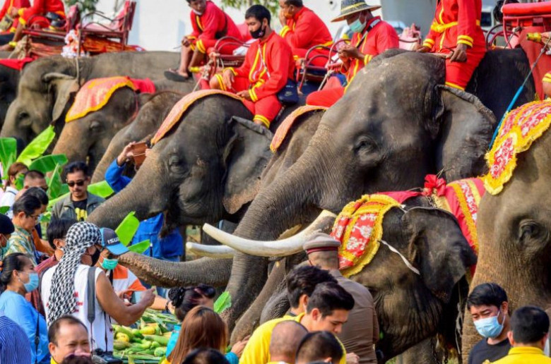 «Հույս ունենք, որ զբոսաշրջիկները կվերադառնան». Թաիլանդում նշում են փղի օրը (լուսանկարներ)