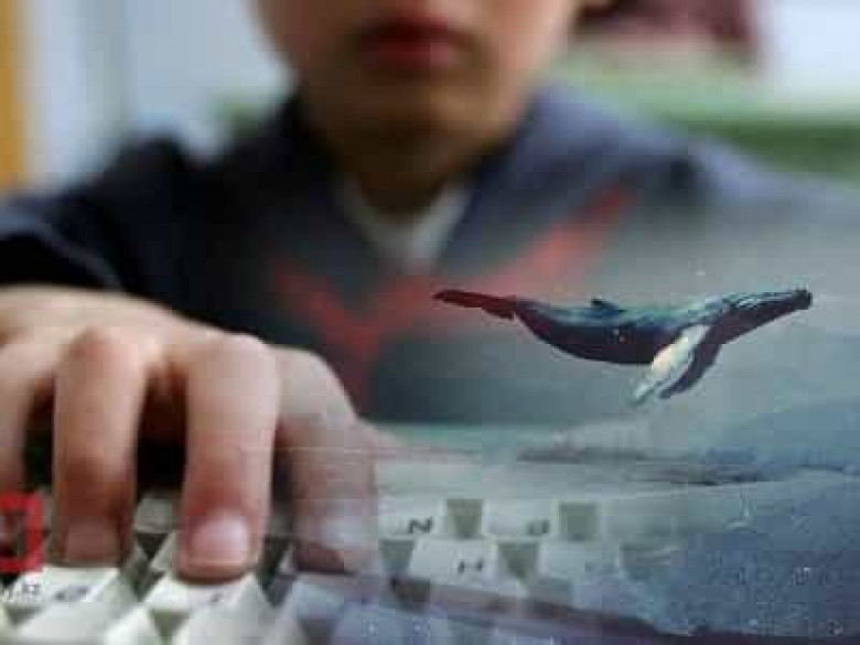 Չինաստանի կիբեր ոստիկանությունը կոչ է անում պայքարել սուիցիդալ խաղերի դեմ