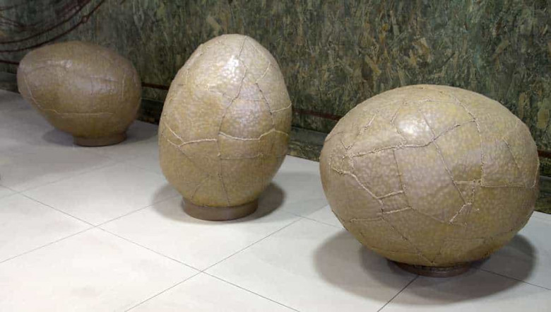 Արգենտինայում դինոզավրի ձու են գտել