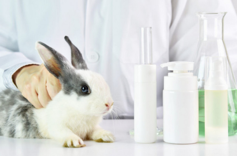 Մեծ Բրիտանիայում ռազմական լաբորատորիաներում գաղտնի փորձարկումների հետևանքով շուրջ 50 հազար կենդանի է սատկել