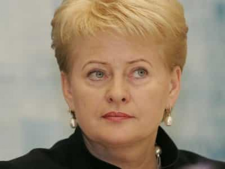 Լիտվայի նախագահ․ ԱՄՆ-ն կարող է Լիտվայում յոթ կործանիչ տեղակայել