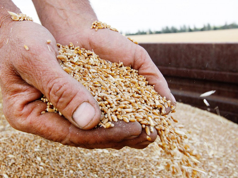 Գյուղատնտեսական մի շարք ապրանքների արտահանումը կարգելվի. ներքին արտադրությունը չի բավարարում Հայաստանի շուկայի պահանջարկը. «Փաստ»